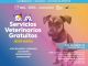 🐾 ¡Este 3 de julio te esperamos en Jesús María con servicios veterinarios gratuitos