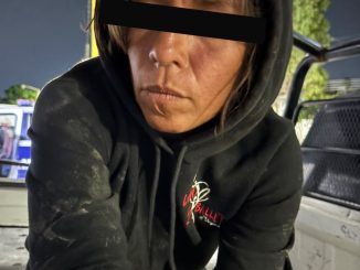 Atienden Elementos de la Policía Municipal reporte por presunto maltrato animal en Loma Bonita; aseguran 10 canes y ponen a Mujer a disposición de la autoridad