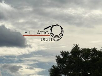 Buen Día...!!