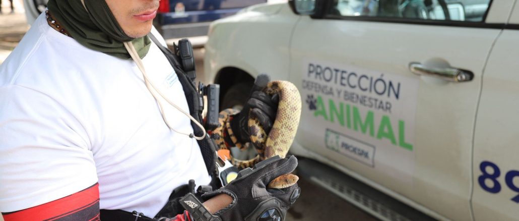 🌿 La fauna silvestre es parte de la riqueza natural de Aguascalientes