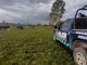 Oficiales del Mando Coordinado localizan 11 cabezas de ganado bovino reportadas como extraviadas en el Municipio de El Llano