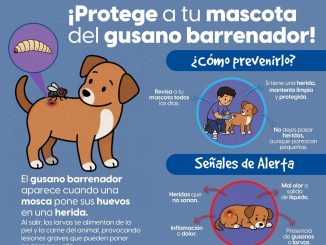 ¡Revisa a tu mascota todos los días!