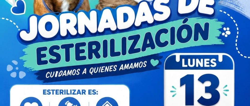 Anuncia Alma Hilda el regreso de las Jornadas de esterilización para perros y gatos