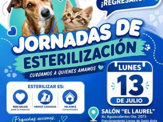 Anuncia Alma Hilda el regreso de las Jornadas de esterilización para perros y gatos