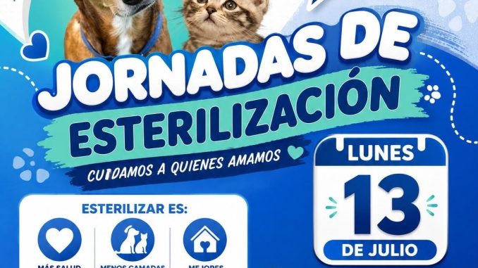 Anuncia Alma Hilda el regreso de las Jornadas de esterilización para perros y gatos