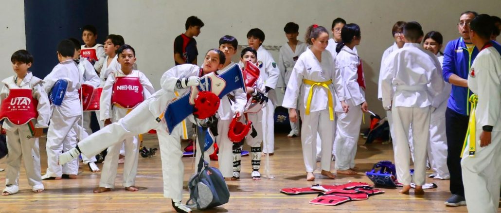 Con éxito se realizó el Torneo Hidrocálido Veraniego de Taekwondo