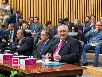 Somos México, una nueva opción para la República: GAN