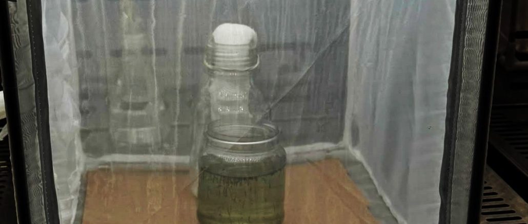 Aguascalientes implementa nueva estrategia para combatir el dengue