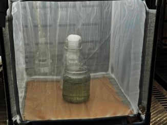 Aguascalientes implementa nueva estrategia para combatir el dengue