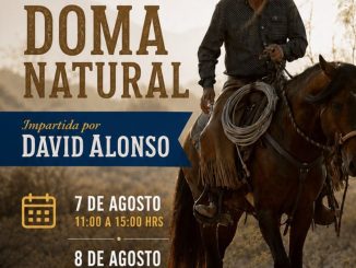 🐎 ¡Vive la Feria Internacional del Caballo 2026!