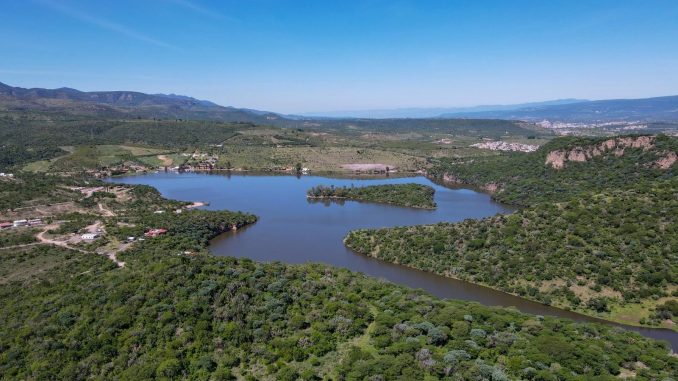 Lluvias benefician al campo, recuperan presas y reducen el uso del agua en un 50 por ciento