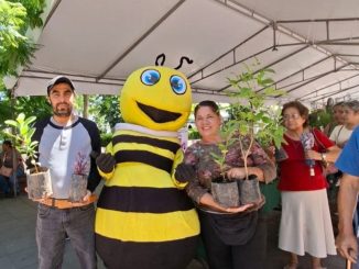 Invita Municipio de Aguascalientes a participar en la donación de plantas durante el Quincenario de la Asunción 2026