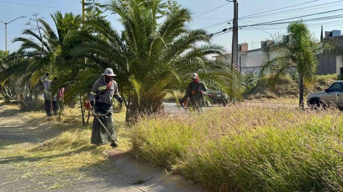 Realiza Municipio de Aguascalientes mega operativo de desmalezado y limpieza en la Av. Mariano Escobedo