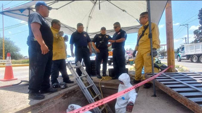 Continúa Municipio de Aguascalientes con la limpieza preventiva de caimanes