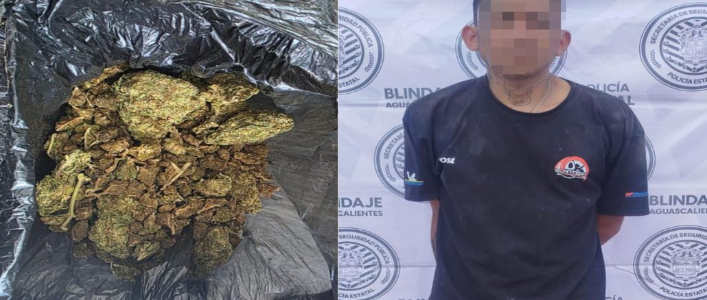Sujeto en poder de hierba verde al parecer marihuana fue detenido por Policías Estatales