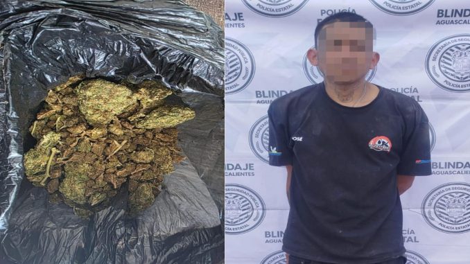 Sujeto en poder de hierba verde al parecer marihuana fue detenido por Policías Estatales