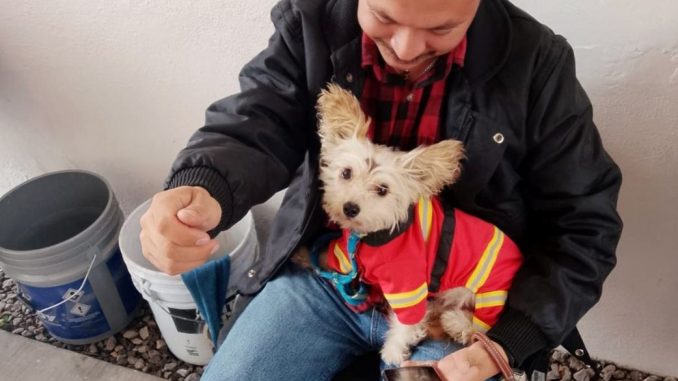 La Casa del Bien Común Mujeres Ilustres será Sede de la Jornada de esterilización canina y felina