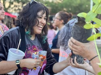 Invita Municipio de Aguascalientes a disfrutar del "Joven Fest Línea Verde"