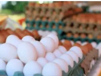 Por salmonela, EE. UU. retira 19 millones de huevos del mercado