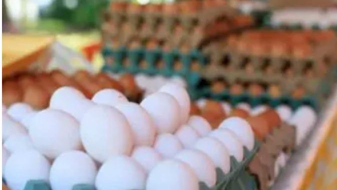 Por salmonela, EE. UU. retira 19 millones de huevos del mercado