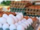 Por salmonela, EE. UU. retira 19 millones de huevos del mercado