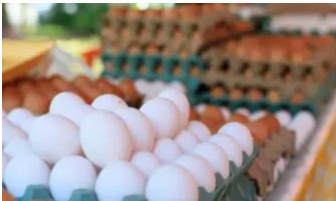 Por salmonela, EE. UU. retira 19 millones de huevos del mercado