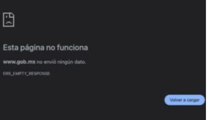 Se caen las páginas del gobierno federal