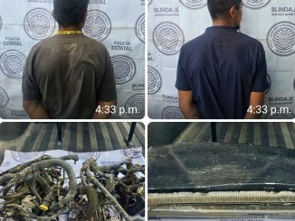 Policías del Mando Coordinado detienen a dos sujetos por su presunta participación en robo a un Yonke de vehículos en el Municipio de Asientos