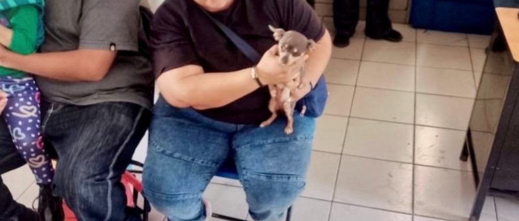 Abren Municipio de Aguascalientes e ISSEA nueva fecha para Jornada de esterilización de Mascotas