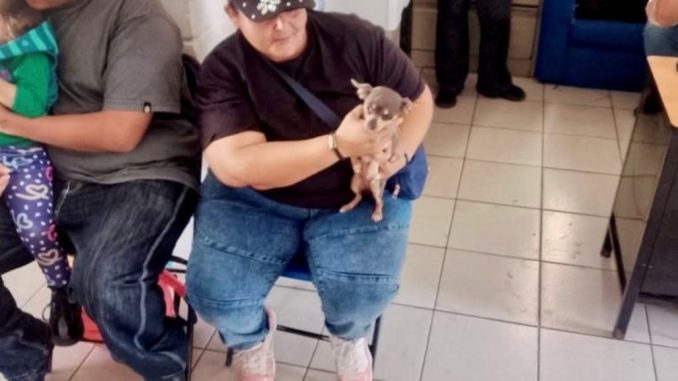 Abren Municipio de Aguascalientes e ISSEA nueva fecha para Jornada de esterilización de Mascotas