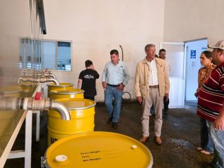 Con trabajo, perseverancia y amor por el campo, Miel Ávila conquista mercados internacionales