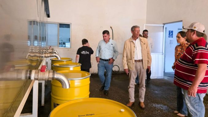 Con trabajo, perseverancia y amor por el campo, Miel Ávila conquista mercados internacionales