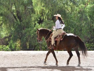 Todo listo para la gran cabalgata de la Feria Internacional del Caballo  2026