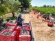 Productores de uva de Cosío podrán vender mejor sus cosechas con el apoyo de la Gobernadora Tere Jiménez