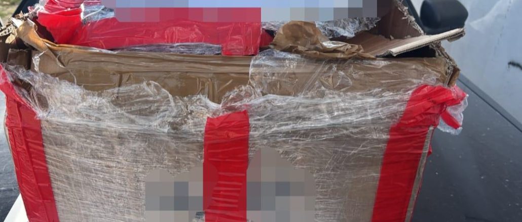 Policías Estatales aseguran en Empresa de paquetería más de 100 Vapes con principio activo de cannabis y nicotina