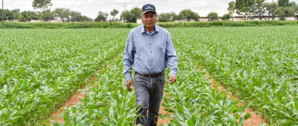 Más agua en la Presa Calles da certeza a productores para los próximos ciclos agrícolas