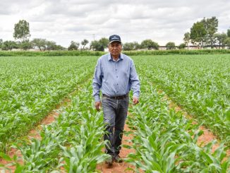 Más agua en la Presa Calles da certeza a productores para los próximos ciclos agrícolas