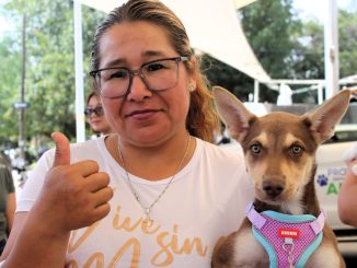 🐾💙 Se llevó con éxito la ¡Caravana de Salud Canina y Felina en Pabellón de Arteaga!