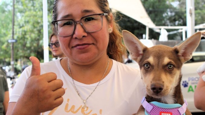 🐾💙 Se llevó con éxito la ¡Caravana de Salud Canina y Felina en Pabellón de Arteaga!