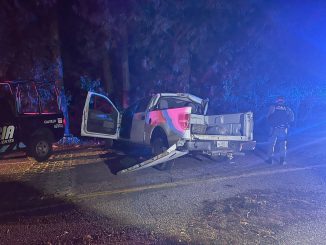 Policías Estatales en coordinación con Municipales atienden reporte de accidente contra un árbol que dejó como saldo un lesionado trasladado en código rojo al Hospital General de Calvillo