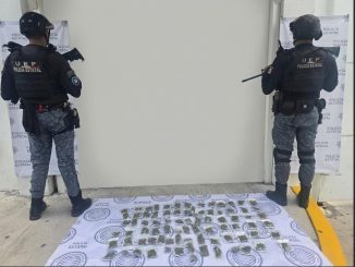 En el marco del operativo "Sagaz" fue localizada en el Municipio de Calvillo una bolsa con envoltorios que contenían hierba verde y sustancia granulada