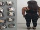 Policías Estatales detienen a una Mujer en poder de envoltorios con sustancia granulada al parecer cristal