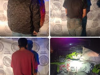 Policías del Mando Coordinado detienen a tres sujetos por robo de cosecha