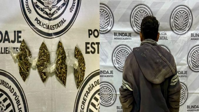 Con varios envoltorios de hierba verde seca al parecer marihuana fue detenido sujeto por Policías del Mando Coordinado en Cosío