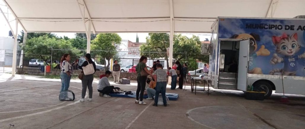 Municipio e ISSEA realizarán nuevas Jornadas de esterilización canina y felina