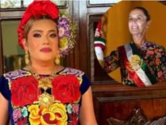 Tras sufrir ataque, diseñadora muxe Elvis Guerra dice que Sheinbaum le aseguró que no habrá impunidad