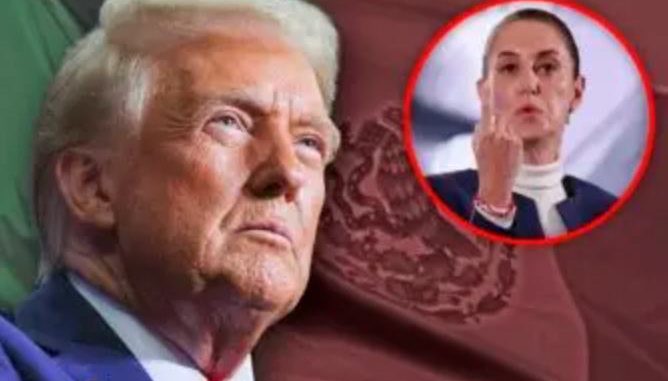 Delincuencia organizada impide a México entregar a Trump negocios estratégicos: Buscaglia