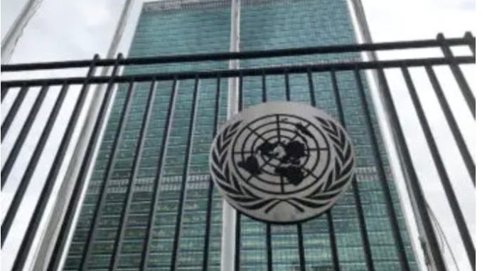 Proponen transformar a la ONU en un parlamento mundial mediante el artículo 109