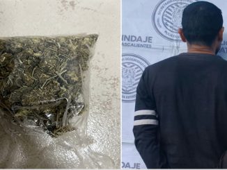 Policías del Mando Coordinado detienen en el Municipio de Tepezalá a sujeto en poder de una bolsa con hierba verde al parecer marihuana