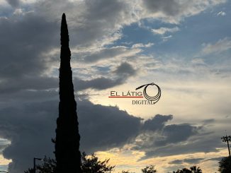 Buen Día...!!